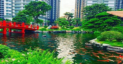 Khu ngam canh